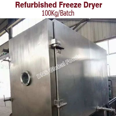 Refurbished Freeze Dryer 100Kg/batch by DNS Global Foods